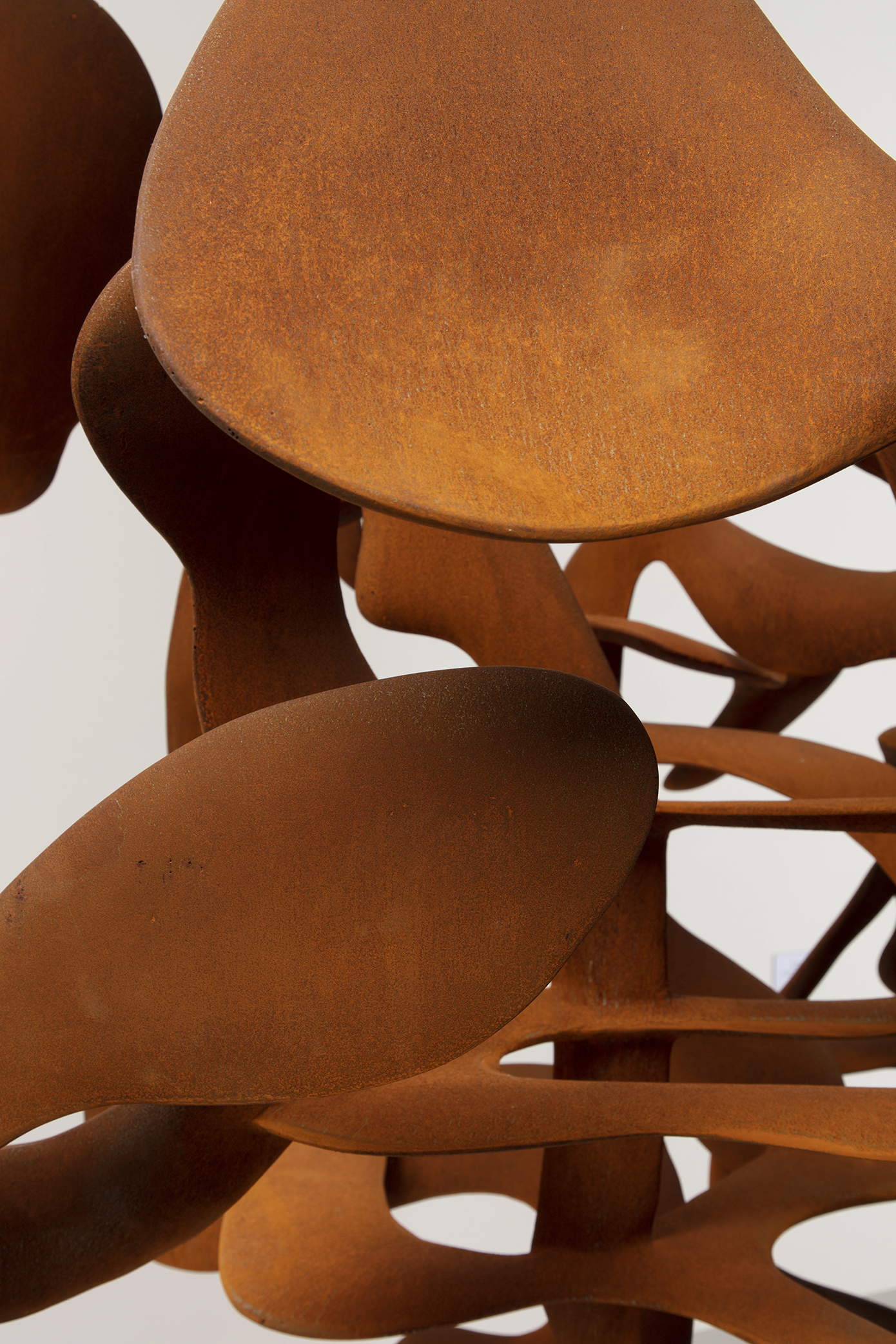 Coroplast Collection