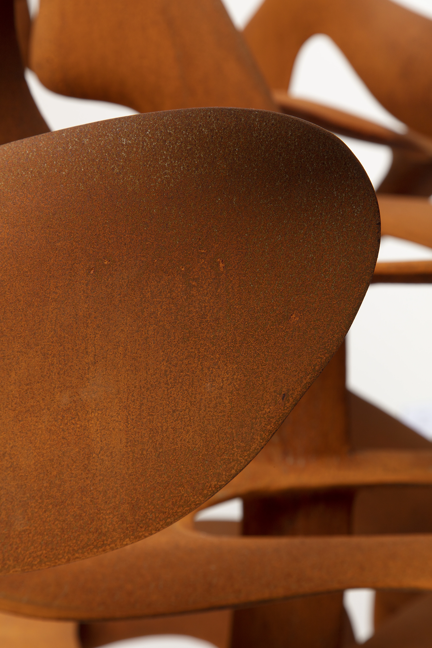 Coroplast Collection