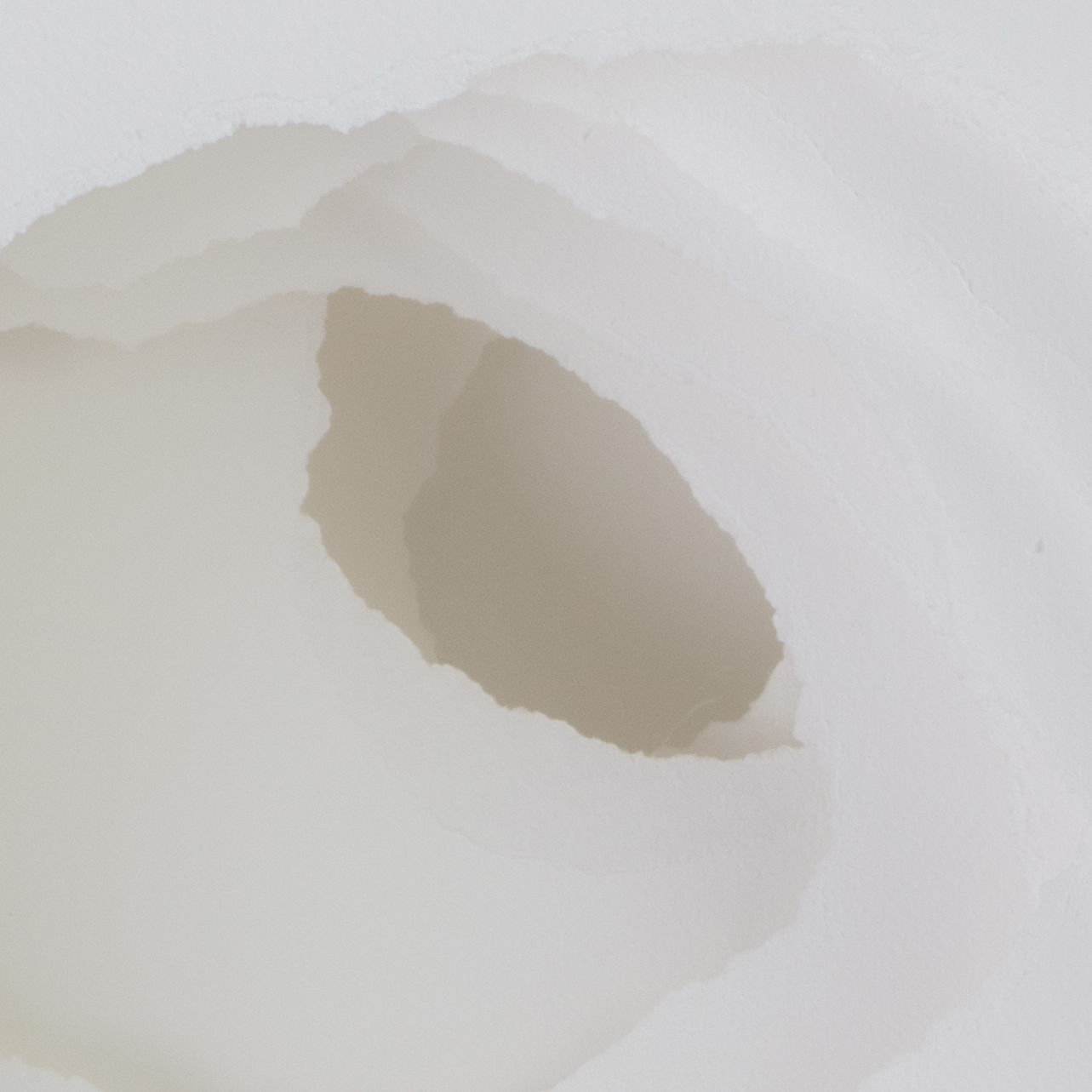 Coroplast Collection