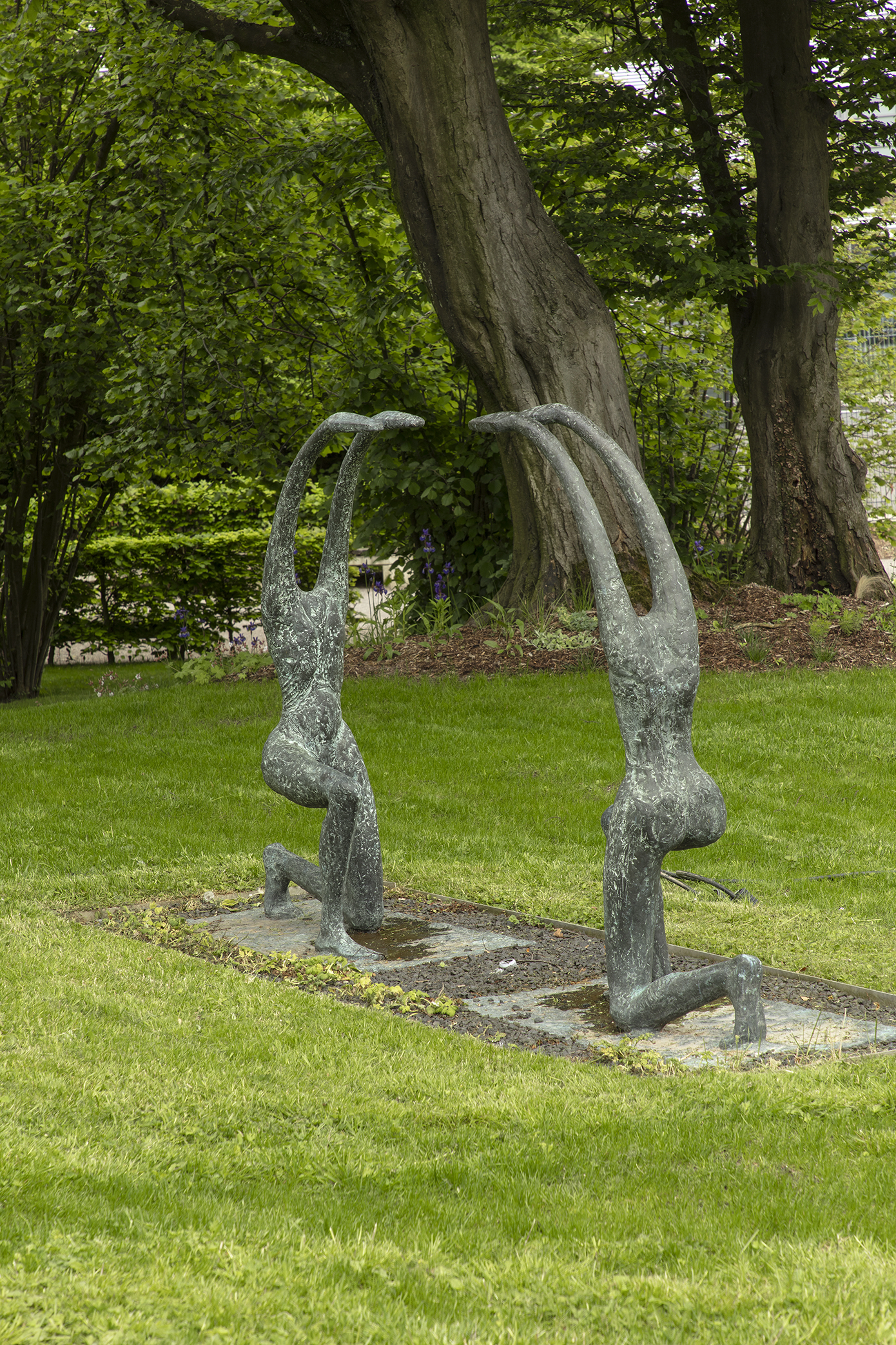 Coroplast Collection