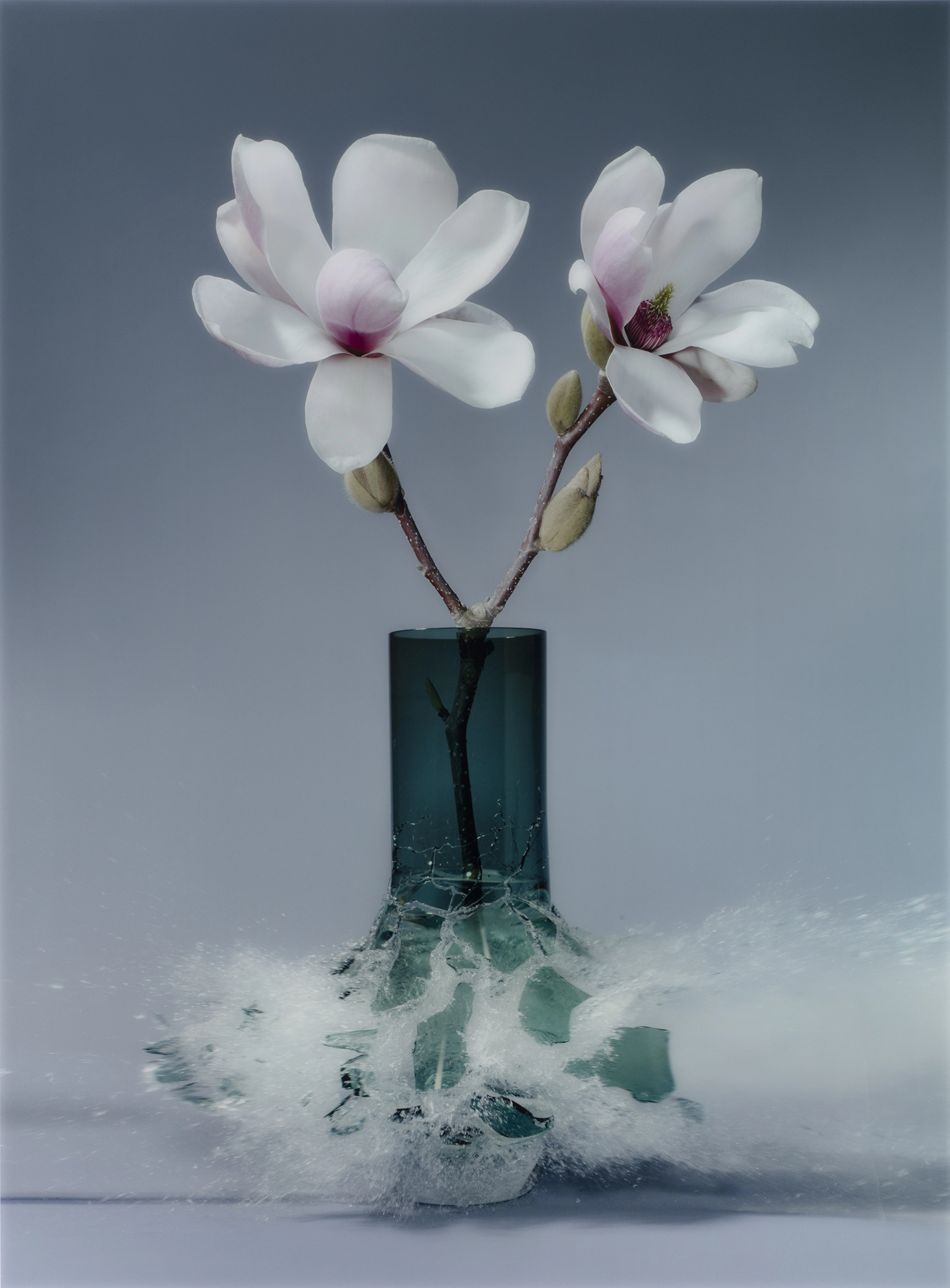 Coroplast Collection