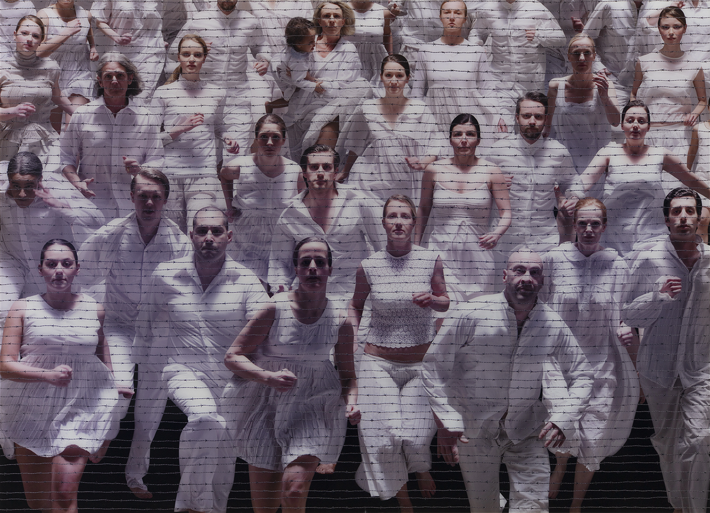 Coroplast Collection